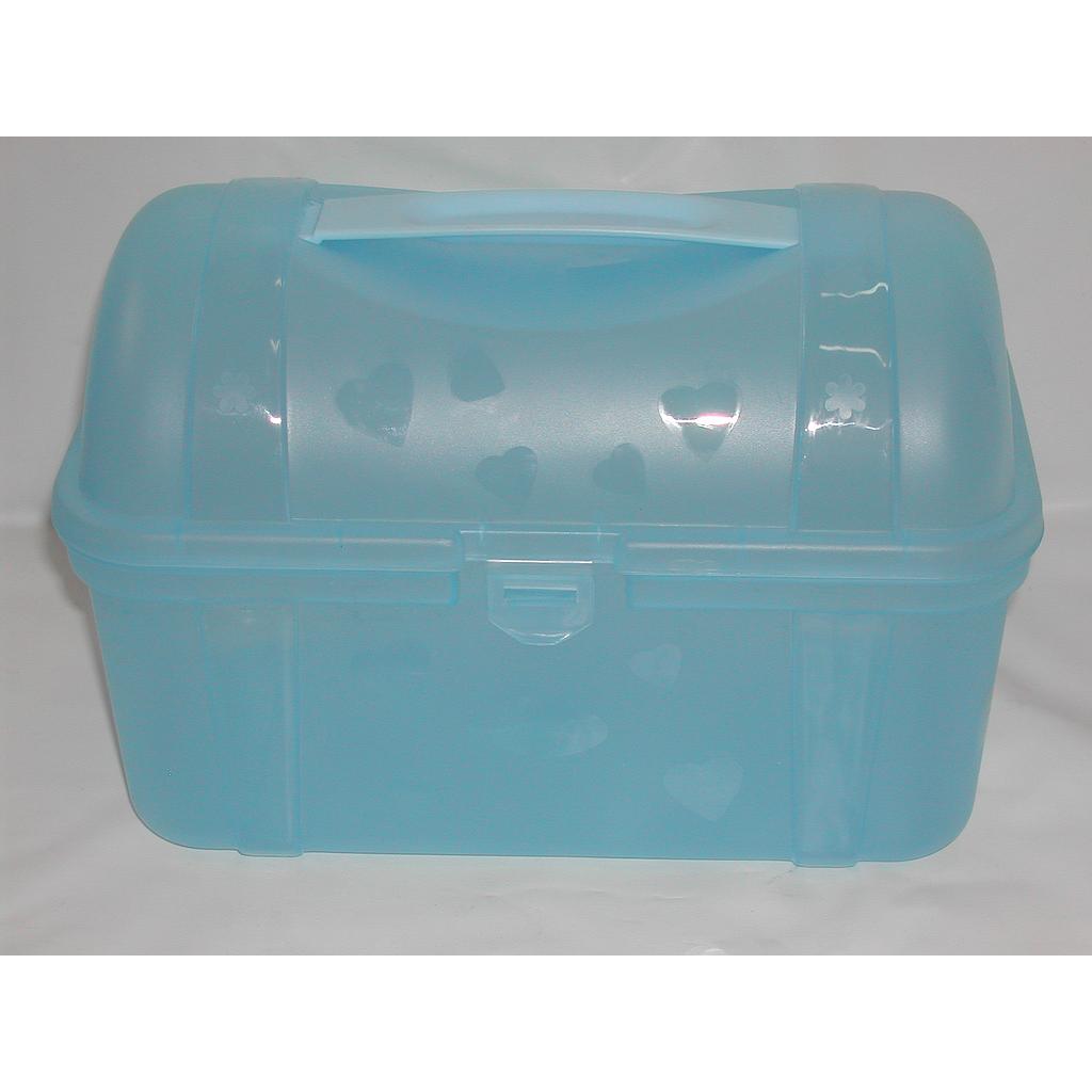 LUNCHERA PLASTICA/ 13MEDIO /