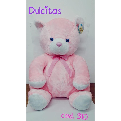 [310D] OSO COLOR GRANDE